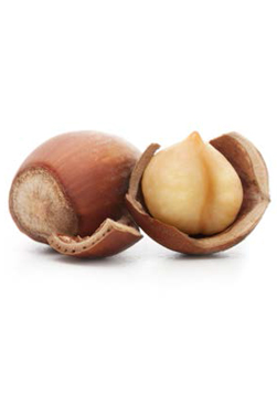 Nocciola Tonda Gentile Trilobata con base bio